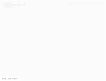 Tablet Screenshot of bowerbirdarchitects.com